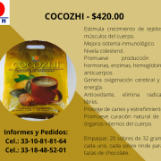 COCOZHI - 2021