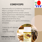 CORDYCEPS CÁPSULAS - 2021