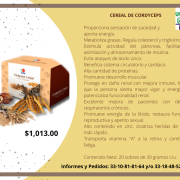 CORDYCEPS CEREAL - 2021