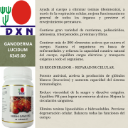 GANODERMA LUCIDUM