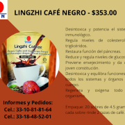 LINGZHI CAFÉ NEGRO - 2021