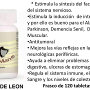 MELENADELEON1